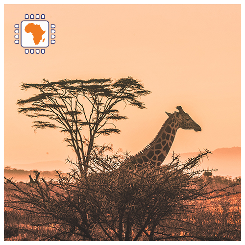Data SIM Card Africa 3GB (15 days)