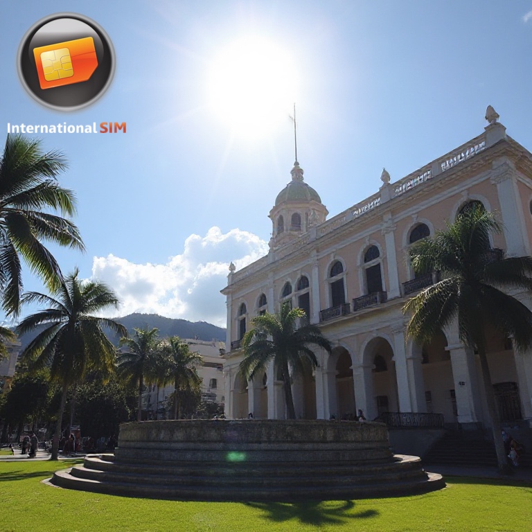 Data SIM Card Trinidad and Tabago 1GB (7 days)