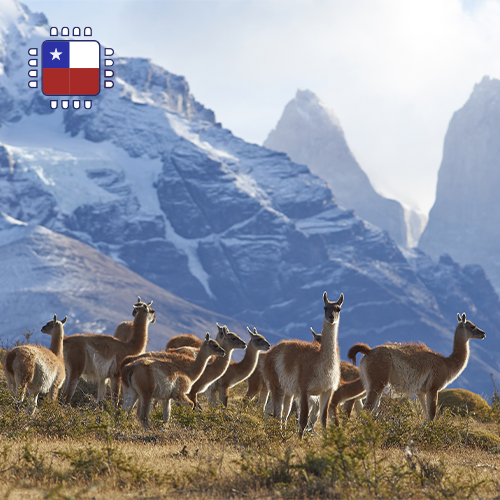 [WW_901O_STACK_ONEOFF_CHILE_3GB_15D] eSIM Chile 3GB (15 days)