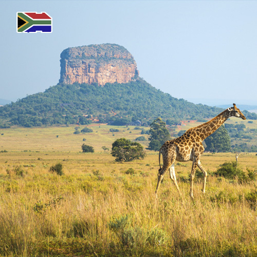 [WW_901O_STACK_ONEOFF_ZAF_25GB_30D] Data SIM Card South Africa 25GB (30 days)